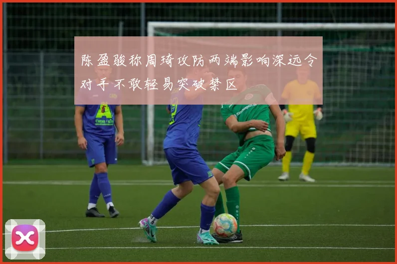 陈盈骏称周琦攻防两端影响深远令对手不敢轻易突破禁区